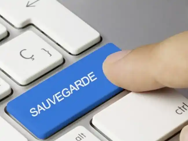 Sauvegarde